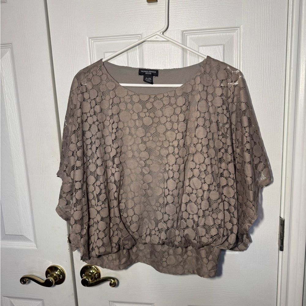 Fancy So Pretty Valerie Stevens Petites Women's Lace Blouse - Taupe PL